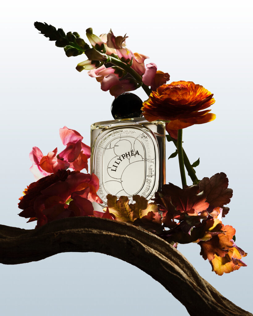 Lucie Conrad still life photography Paris