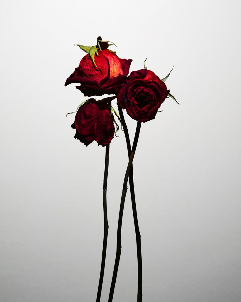 Lucie Conrad still life photography Paris