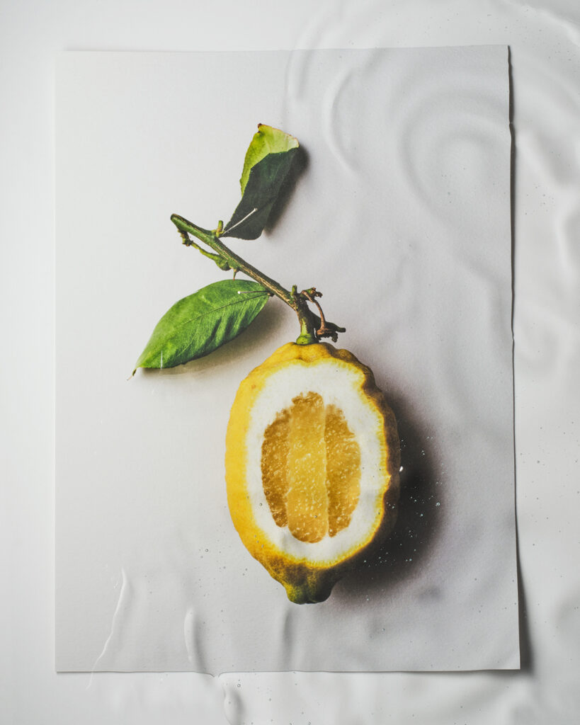 Lucie Conrad still life photography Paris